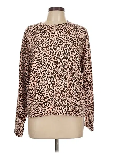 Pre-owned Sanctuary Pullover Sweater In Brown