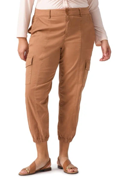 Sanctuary Rebel Crop Trousers In Brown