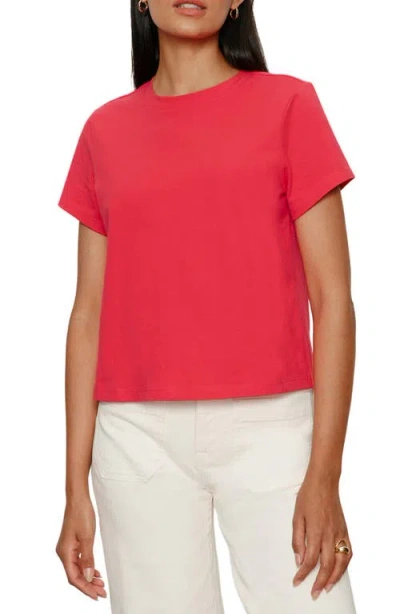 Sanctuary Rose Perfect Cotton T-shirt In Pink