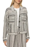 Sanctuary Shoreside Stripe Cotton Jacket In Gray
