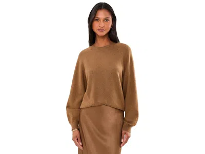 Sanctuary Soft Popover Sweater Women's Sweater Cocoa Powder: Lg (us 10-12), Acrylic/nylon In Brown