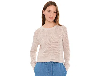 Sanctuary Soleil Open Stitch Sweaters Women's Sweater Dark Opal: Md (us 8) In Burgundy