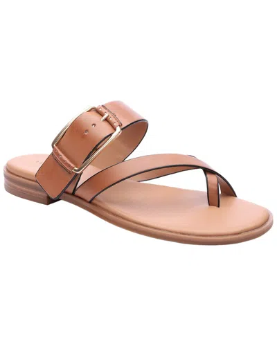 Sanctuary Spring Flip Flop In Multi
