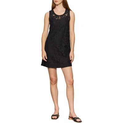 Sanctuary Sunday Best Lace Minidress In Black