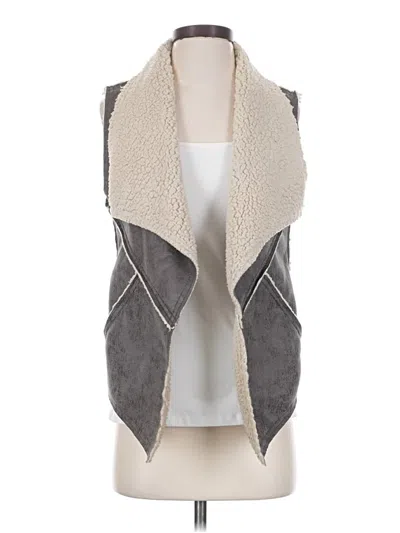 Pre-owned Sanctuary Sweater Vest In Gray
