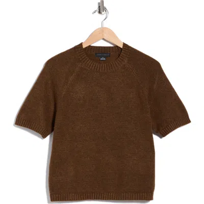 Sanctuary The Daily Short Sleeve Sweater In Brown