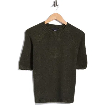 Sanctuary The Daily Short Sleeve Sweater In Brown