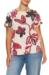 Sanctuary The Perfect T-shirt In Multi