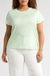 Sanctuary The Perfect T-shirt In Mint Tea