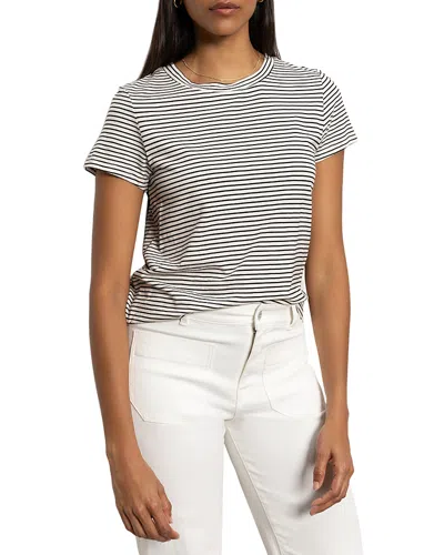 Sanctuary Plus The Perfect Tee In Pumice Stone