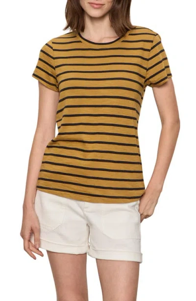 Sanctuary The Perfect T-shirt In Multi