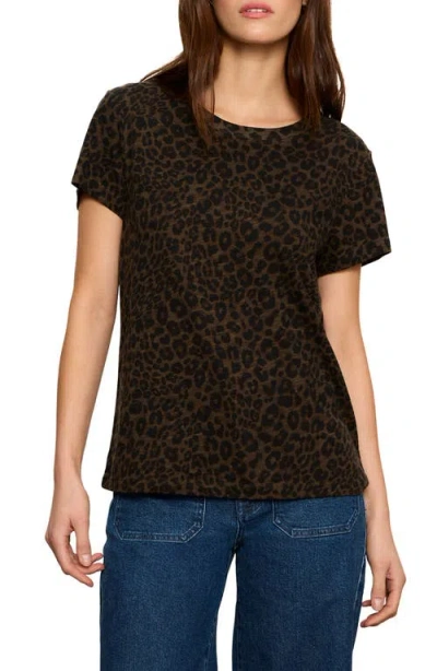 Sanctuary The Perfect T-shirt In Brown
