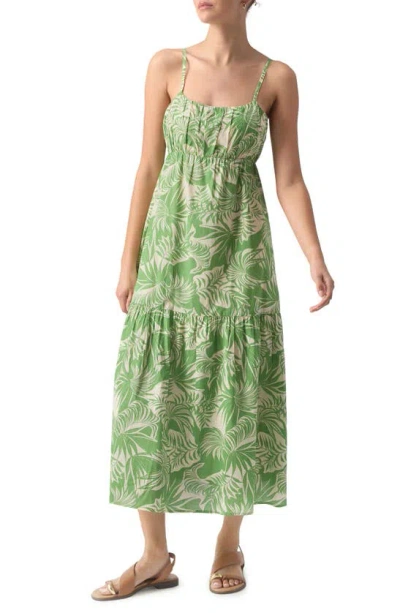 Sanctuary Tiered Cotton Midi Dress In Cool Palm