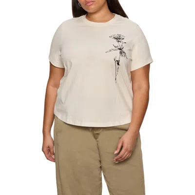 Sanctuary Timeless Dandelion Graphic Organic Cotton T-shirt In White