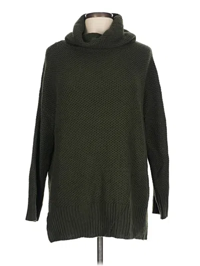 Pre-owned Sanctuary Turtleneck Sweater In Green