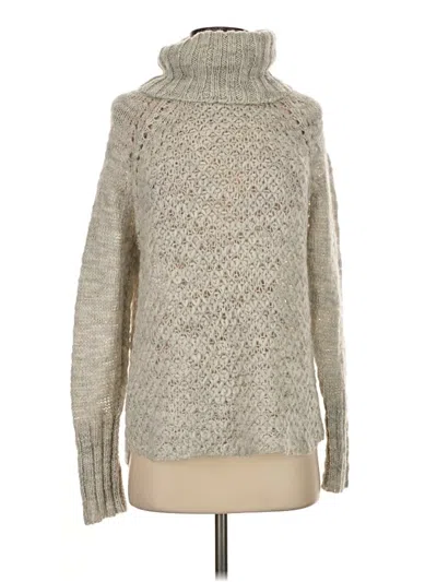 Pre-owned Sanctuary Turtleneck Sweater In Silver