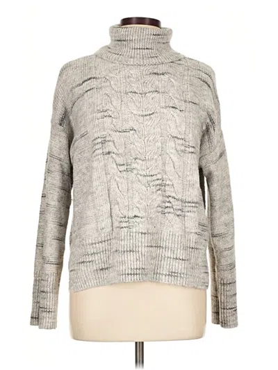 Pre-owned Sanctuary Turtleneck Sweater In Silver