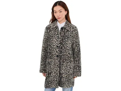 Sanctuary Upside Jacket Women's Jacket Cocoa Kitty: Xs (us 2) In Gray