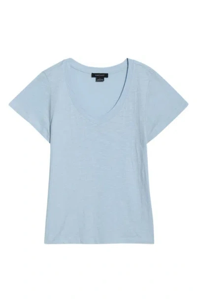 Sanctuary V-neck T-shirt In Blue