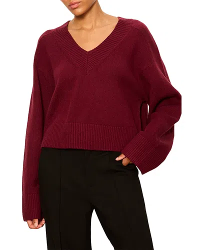 Sanctuary Vanna V Neck Sweater In Burgundy