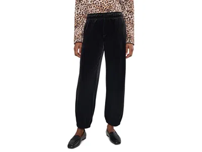 Sanctuary Velvet Micro Ballon Pants Women's Clothing Black: Md (us 8) 28, Polyester/spandex