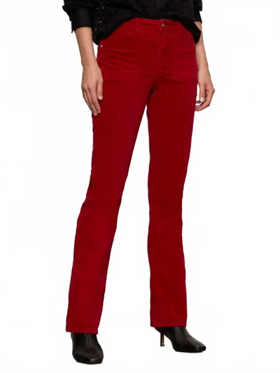 Sanctuary Velveteen Brook Bootcut Pant In Cherry In Burgundy