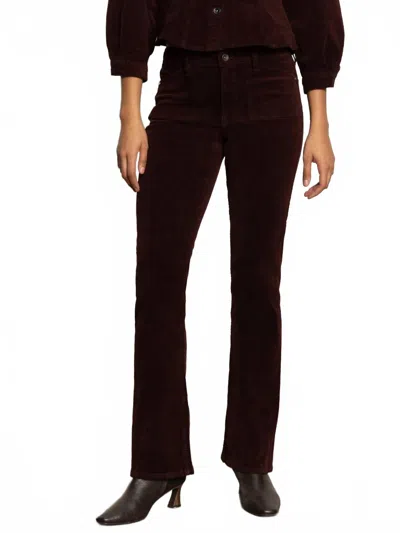 Sanctuary Velveteen Brook Bootcut Pant In Dark Crimson In Brown