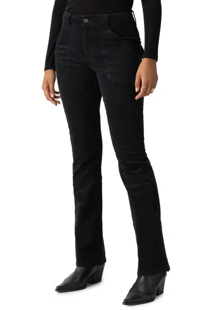 Sanctuary Velveteen Hayden Bootcut In Black