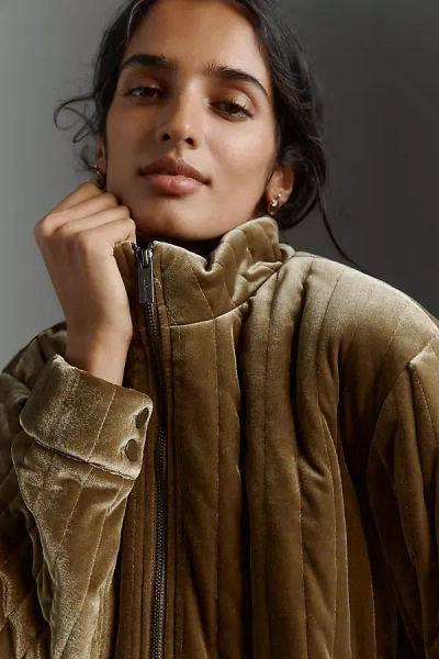 Sanctuary Victoria Quilted Velvet Jacket In Green