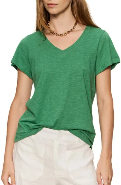 Sanctuary V-neck T-shirt In Green