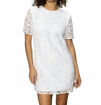 Sanctuary Wanderer Lace Mini Dress In White