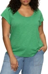 Sanctuary West Side T-shirt In Palm