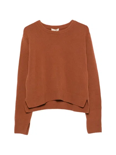 Sanderlak Pullover Mit Geripptem Besatz In Brown