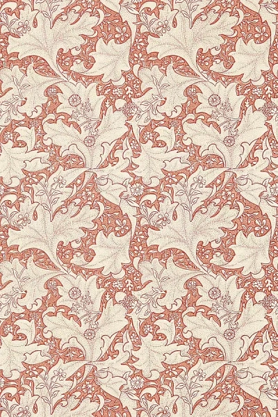 Sanderson Wallflower Wallpaper In Pink