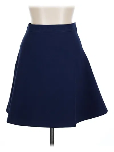 Pre-owned Sandro Casual Skirt In Blue