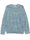 Sandro Chunky-knit Sweater In Blue