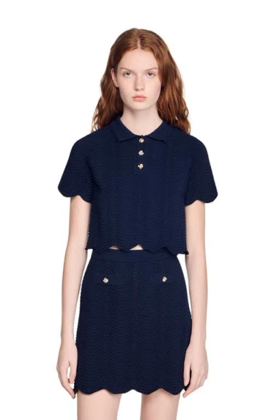 Sandro Decorative Knit Polo-neck Sweater In Blue