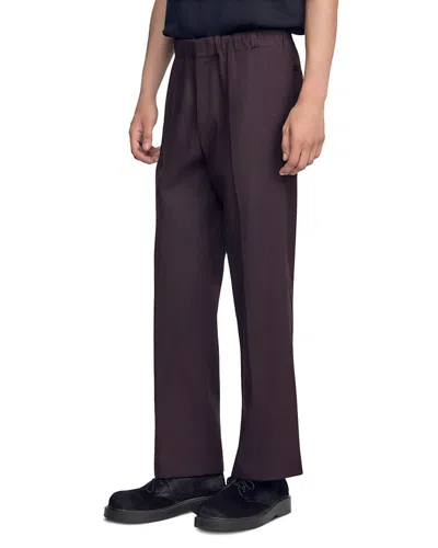 Sandro Elasticized Wide Leg Cotton Pants In Brown