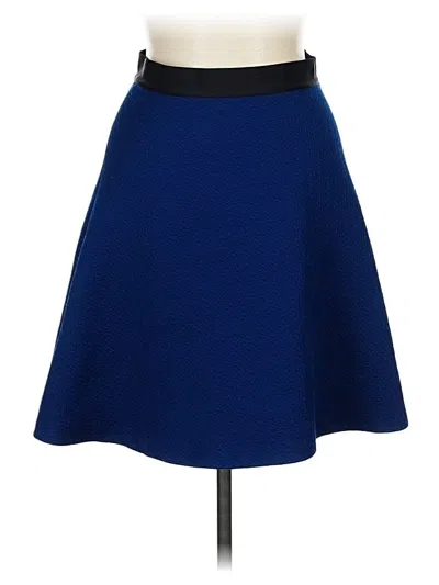 Pre-owned Sandro Formal Skirt In Blue