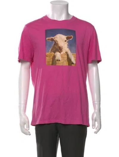 Pre-owned Sandro Graphic Print Crew Neck T-shirt In Pink