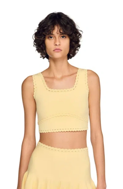 Sandro Telina Knit Crop Top In Yellow