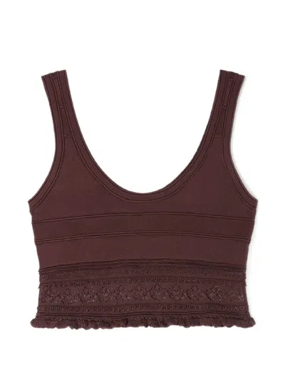 Sandro Lace Crop Top In Brown