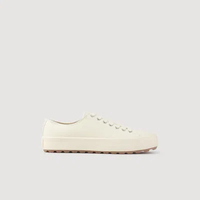 Sandro Low-top Canvas Sneakers In White