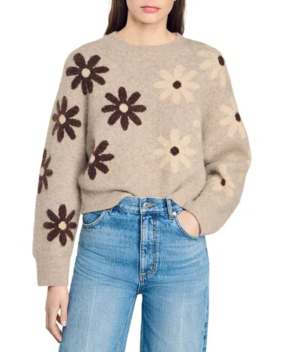 Sandro Maguy Jumper In Beige