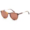 Sandro Men's Sunglasses In Brown