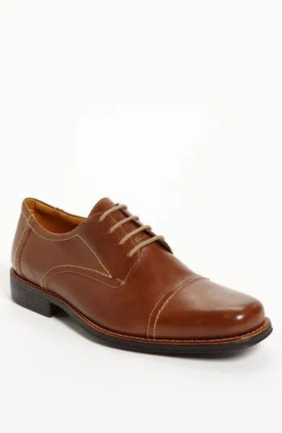 Sandro Moscoloni 'whitman' Cap Toe Derby In Brown
