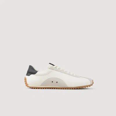 Sandro Running Sneakers In Black