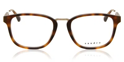 Sandro Sd1007 Men's Glasses, Tortoiseshell, Size 51 In Brown