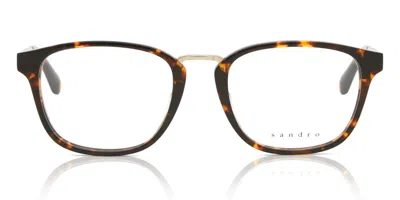 Sandro Sd1007 Men's Glasses, Tortoiseshell, Size 51 In Brown