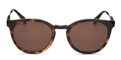Sandro Sds1005 Tortoise,brown